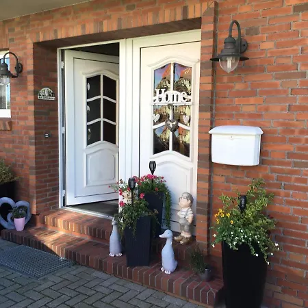 Nordseekrabbe Bollmann